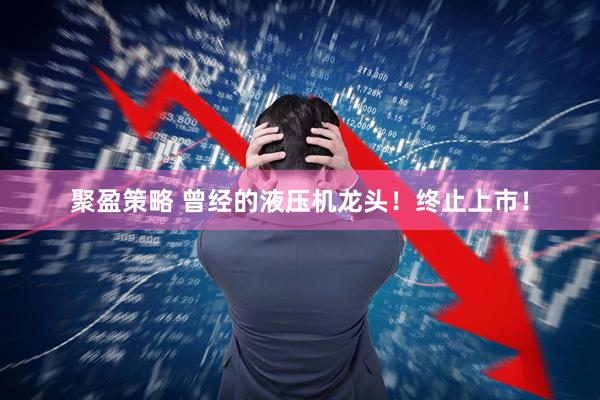 聚盈策略 曾经的液压机龙头！终止上市！