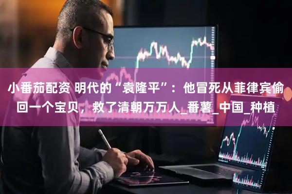 小番茄配资 明代的“袁隆平”：他冒死从菲律宾偷回一个宝贝，救了清朝万万人_番薯_中国_种植