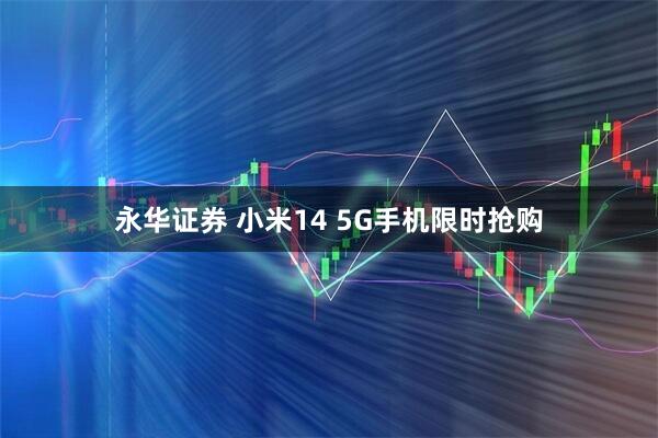 永华证券 小米14 5G手机限时抢购
