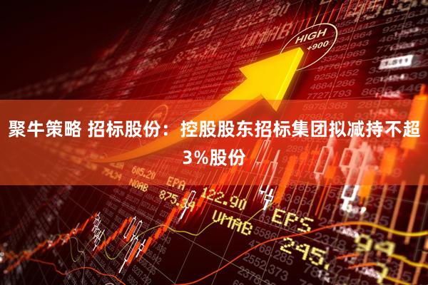 聚牛策略 招标股份:控股股东招标集团拟减持不超3%股份